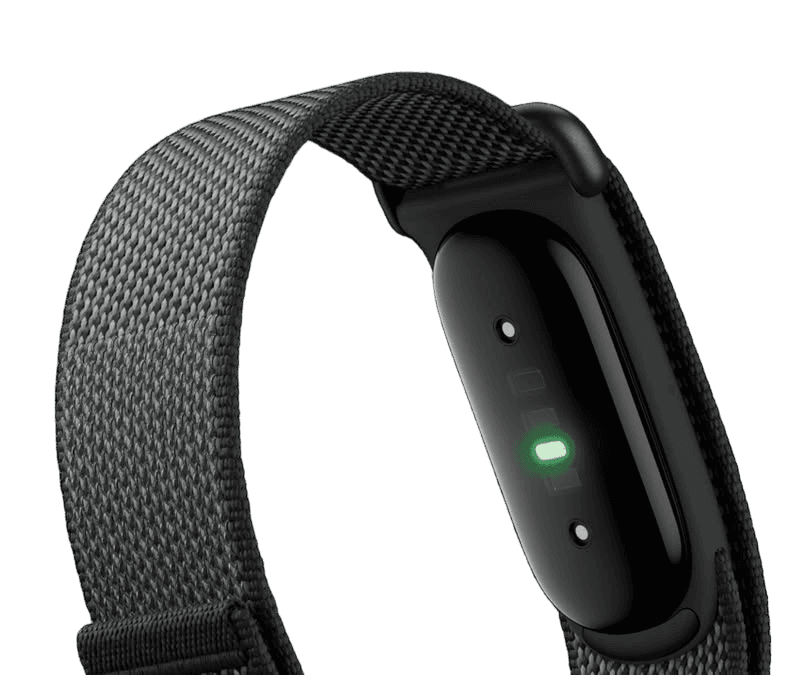 Fitbit device